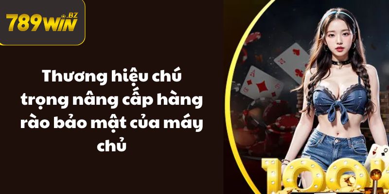 Thương hiệu chú trọng nâng cấp hàng rào bảo mật của máy chủ